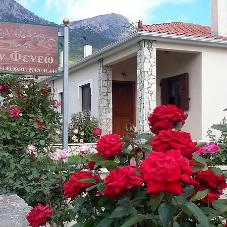 εν φενεώ Διαμέρισμα